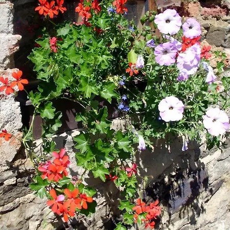 Holiday home Bohemia Retreat