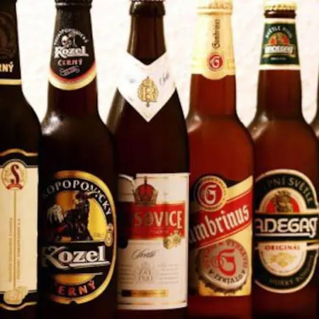 Vakantiehuis Bohemia Retreat Neveklov