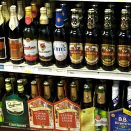 Bohemia Retreat Vakantiehuis