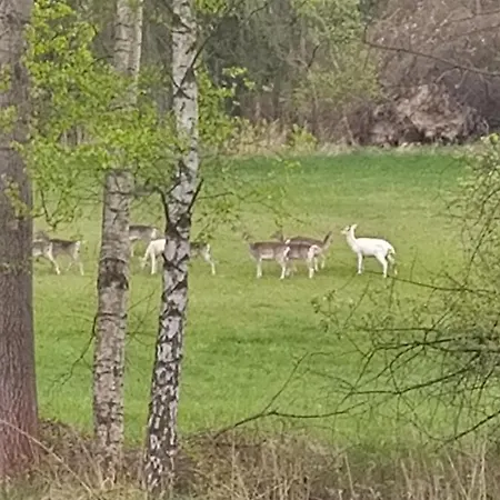 Holiday home Bohemia Retreat Neveklov