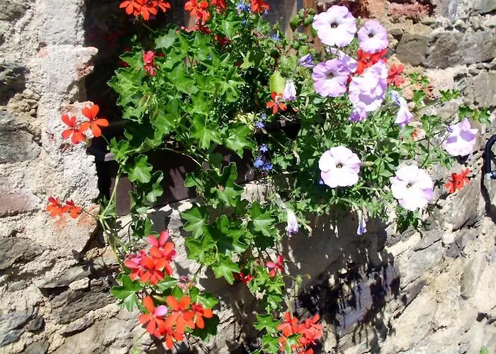 בית נופש Bohemia Retreat