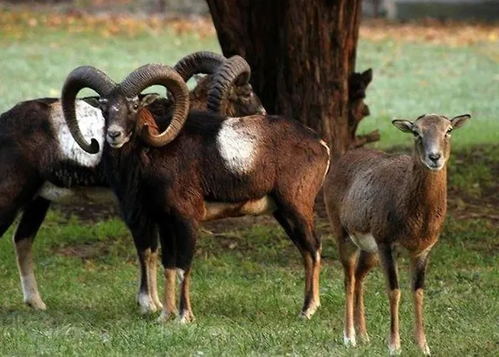 Prázdninový dům Bohemia Retreat Neveklov