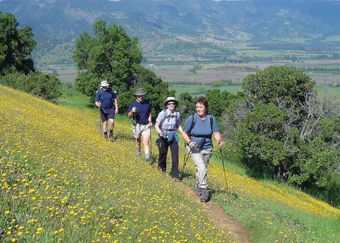 Bohemia Retreat * Neveklov