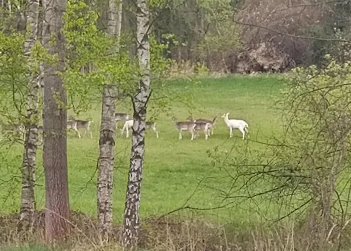 Vakantiehuis Bohemia Retreat Neveklov